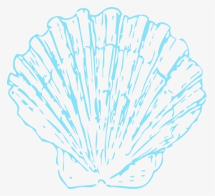 Transparent Blue Shell Png - Seashell Clipart Blue, Png Download, Transparent PNG
