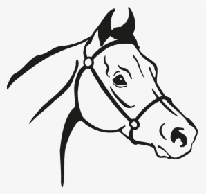 Arabian Horse Mustang Clip Art Vector Graphics Stallion - Horse Head Silhouette Jpg, HD Png Download, Transparent PNG