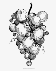 Uvas Página Para Colorear - Png Grape Black White, Transparent Png, Transparent PNG