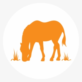 Horse & Farm Committee Icon - Down Steal This Album, HD Png Download, Transparent PNG