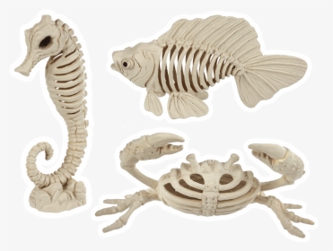 Sea Bonez Set - Halloween Sea Life Skeleton, HD Png Download, Transparent PNG