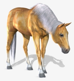 Download For Free Horse Icon - Portable Network Graphics, HD Png Download, Transparent PNG