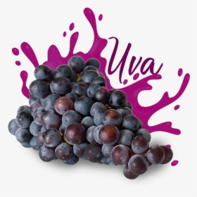 Uva - Seedless Fruit, HD Png Download, Transparent PNG