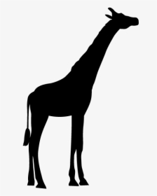Silhouette Giraffe Clipart Black And White, HD Png Download, Transparent PNG