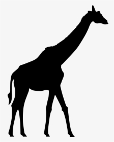 Horse Clip Giraffe - Giraffe Laying Down Silhouette, HD Png Download, Transparent PNG