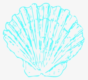 Aqua Shell 2 Svg Clip Arts - Illustration, HD Png Download, Transparent PNG