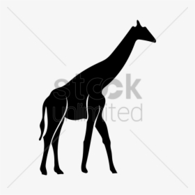 Giraffe Shadow Clipart Silhouette Shadow - Giraffe, HD Png Download, Transparent PNG