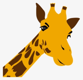 Giraffe Zoo Africa Free Photo - Graphic Giraffe, HD Png Download, Transparent PNG
