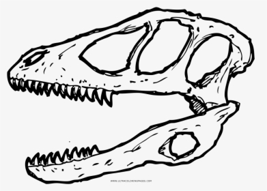 Deinonychus Skull Coloring Page - Skull, HD Png Download, Transparent PNG