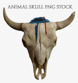Transparent Animal Skull Png - Png Animal Skull, Png Download, Transparent PNG