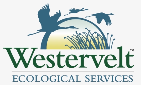 Westervelt Ecological Services, HD Png Download, Transparent PNG
