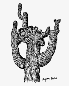 Saguaro Cactus Clip Arts - Clip Art Transparent Black And White Cactus Tall, HD Png Download, Transparent PNG