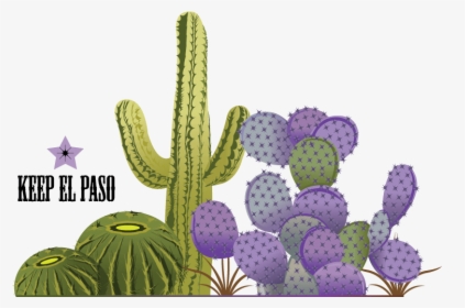 Transparent Cactus Vector Png - Prickly Pear, Png Download, Transparent PNG