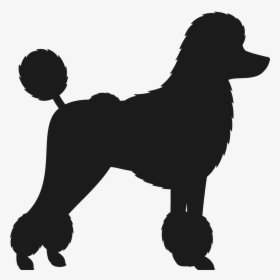 Can You Identify This Formal Dog Breed, HD Png Download, Transparent PNG