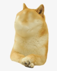 Doge Meme White Background, HD Png Download, Transparent PNG