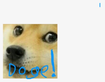 Transparent Doge Face Png - Much Wow Many Thanks, Png Download, Transparent PNG