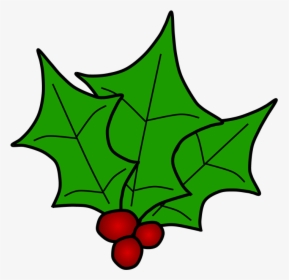 Holly, Berries, Leaves Together, Green, HD Png Download, Transparent PNG
