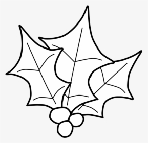 Holly, Berries, Leaves Together, Black And White - Illustration, HD Png Download, Transparent PNG