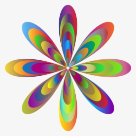 Symmetry,petal,circle - Circle, HD Png Download, Transparent PNG