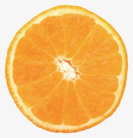 Naranja, Vector, Fruta, Cítricos, Fruto, Alimentos - Orange Half Png, Transparent Png, Transparent PNG