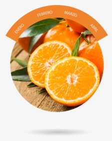 Rangpur,mandarin Orange,valencia Orange,citric Foods,vegetarian - Alimentos Que Ajudam Na Respiracao, HD Png Download, Transparent PNG