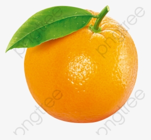 Naranja Clipart - Orange Fruit Transparent Background, HD Png Download, Transparent PNG