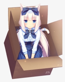 Chocola And Vanilla In Box, HD Png Download, Transparent PNG