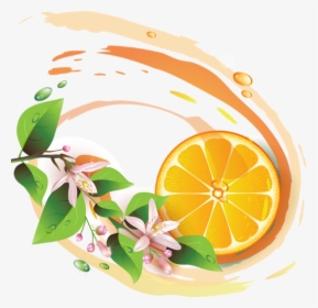 Illustration Png - Lemon Fresh Background, Transparent Png, Transparent PNG