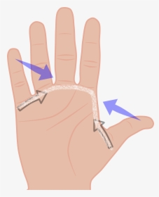 Hand Span Clipart, HD Png Download, Transparent PNG