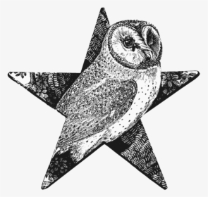 Barn Owl Barnstar - Thomas Bewick Animals, HD Png Download, Transparent PNG