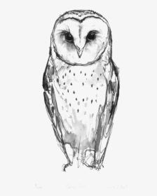 Idea Owl Drawing Tattoo Barn Download Free Image Clipart - Snow Owl Tattoo Design, HD Png Download, Transparent PNG