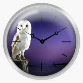 Barn Owl Standing On Log With Sunset Background - Snowy Owl, HD Png Download, Transparent PNG