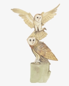 Owl Watercolor, HD Png Download, Transparent PNG