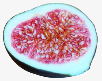 Common Fig, HD Png Download, Transparent PNG