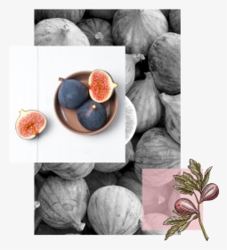 Common Fig, HD Png Download, Transparent PNG