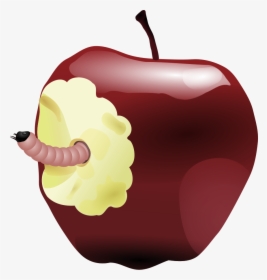 Teachers Apple - Apple Bitten And Worm, HD Png Download, Transparent PNG