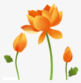 Transparent Lotus Flower Images Clipart - 蓮花 圖, HD Png Download, Transparent PNG
