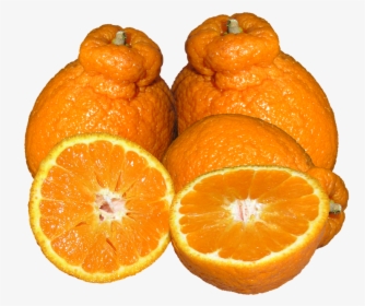 Mandarins, Citrus, Fruit - Rangpur, HD Png Download, Transparent PNG
