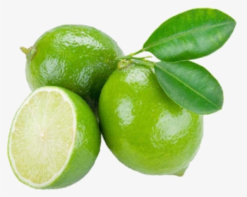 Citrus Aurantifolia , Png Download - Lime Fruit, Transparent Png, Transparent PNG