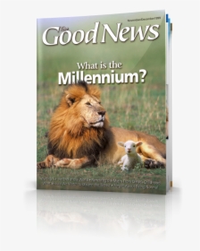 The Good News November-december - Masai Lion, HD Png Download, Transparent PNG