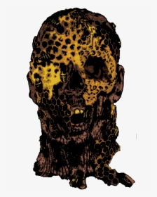 Skull, HD Png Download, Transparent PNG