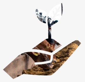 Reindeer, HD Png Download, Transparent PNG