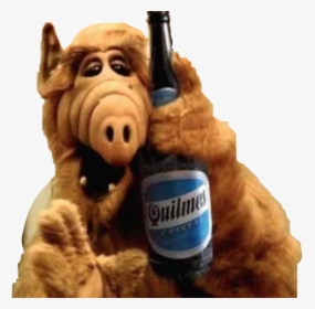 #alf #usa #old #comedy #beer #love #free #freetoedit - Alf Png, Transparent Png, Transparent PNG