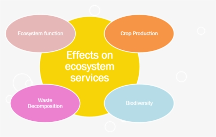 Wp4 - Effects Of Ecosystem Services, HD Png Download, Transparent PNG