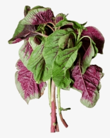 En Choy - Chinese Purple Spinach, HD Png Download, Transparent PNG