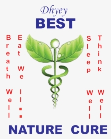 Buy Amaltas / Garmalo / Cassia Fistula / Cassia Fistula-seeds - Alternative Medicine Symbol, HD Png Download, Transparent PNG