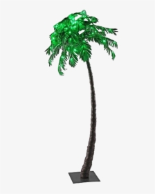 Palm Tree Transparent Background Png - Borassus Flabellifer, Png Download, Transparent PNG