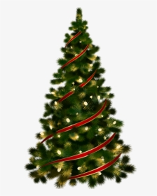 Large With Red Ribbon - Transparent Christmas Tree Clipart, HD Png Download, Transparent PNG