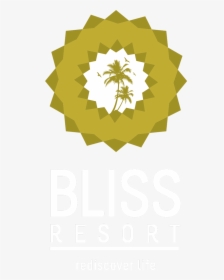 Image - Palm Tree Vector, HD Png Download, Transparent PNG