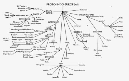 Sanskrit Language Tree - Proto Indo European Tree Of Language, HD Png Download, Transparent PNG